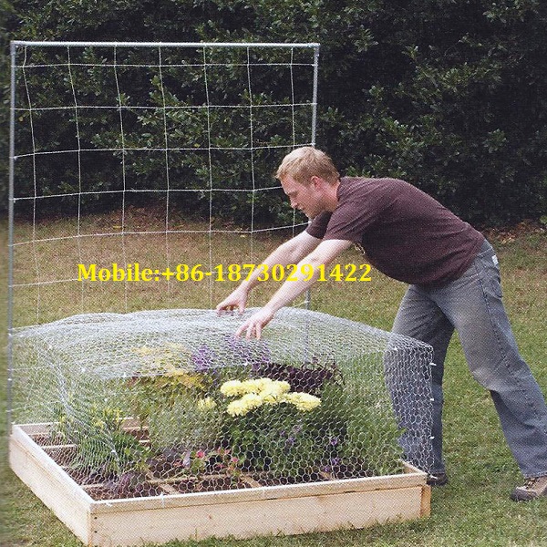 2 Inch woven Chicken Wire Mesh Stainless Steel For Garden / Poultry