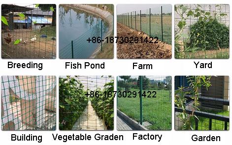 100 X 50 mm Green Plastic Coated Holland Garden Wire Mesh