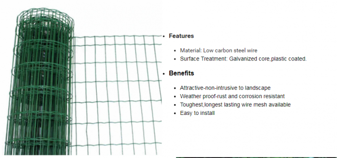 100 X 50 mm Green Plastic Coated Holland Garden Wire Mesh