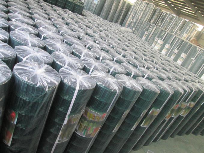 100 X 50 mm Green Plastic Coated Holland Garden Wire Mesh