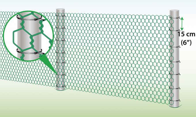 40mmx40mm PVC Coated Hexagonal Chicken Wire Mesh