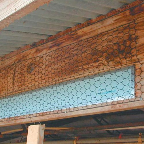 40mmx40mm PVC Coated Hexagonal Chicken Wire Mesh