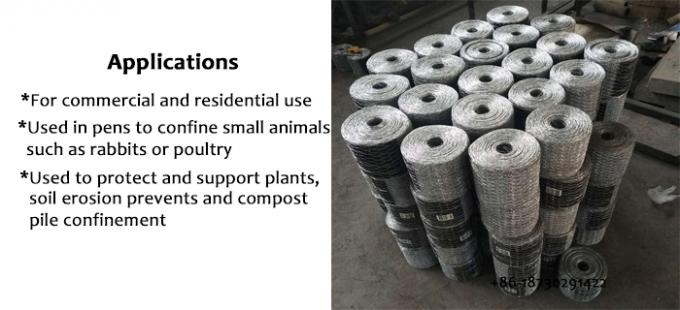 Hot Dipped Galvanized Hexagonal Wire Netting Chickenwire