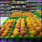 Supermarket Divider Shelf for Fruit and Vegetabes Made in China