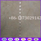 Straight Concertina Razor Barbed Wire from China Supplier