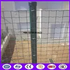 China ready stock 60x60 mm euro fence mesh Pvc coating made in china