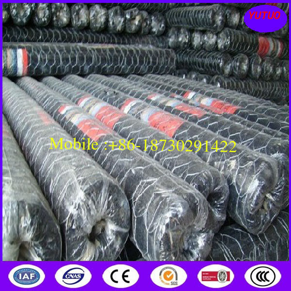 China Low price of Hot Dipped Galvanized Hexagonal Wire Netting