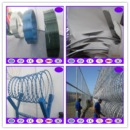 cbt-65 steel wire razor barbed wire