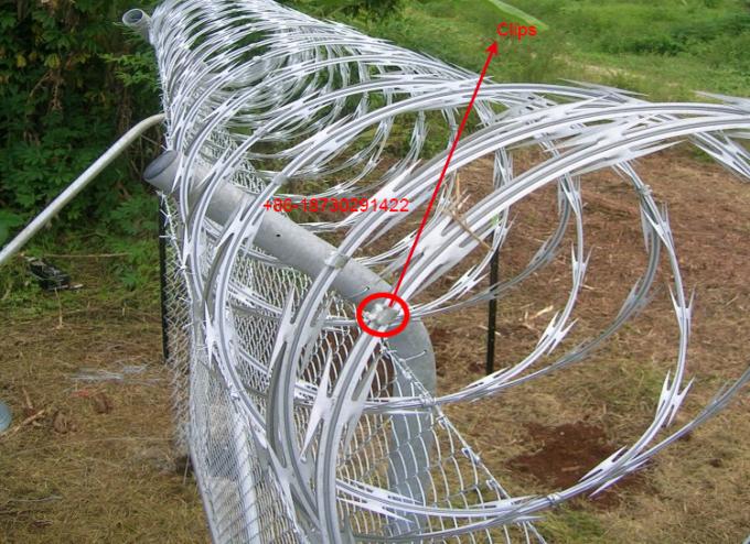 Cbt-65 450mm 50 Feet Length Galvanized Steel Razor Wire Ribbon for Military