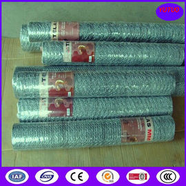 Rabbit Wire Netting & Rabbit Fence 31mmx0.91mm ,0.31mmx1.0mm ,0.31mmx1.2mm