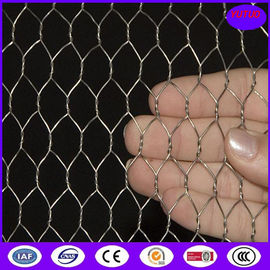 Hot Dipped Galvanized Chicken Wire Mesh , 50mm 2'' Bird Cage Wire Mesh