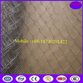 Chain Link Fence/Chain Link Fencing/Chain Link Wire Mesh (2.5mmx50mmx50mm)