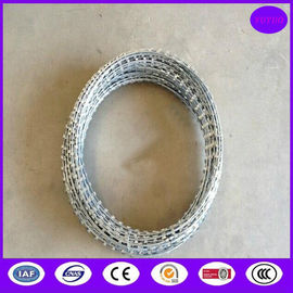 Concertina Razor Wire Coil 450mm x 8mtr