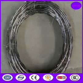 CBT65 5kgs /coil stainless steel razor barbed wire
