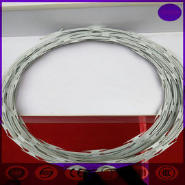 High Quality Security Single CBT-65 Iron Razor Barb Wire for Sale