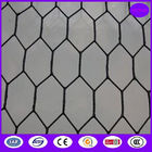 Black Vinyl Chicken Wire Mesh Panels for  construction