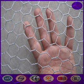 1/2" or 1" mesh hole Durable Chicken Wire Mesh , Hot Dipped Poultry Netting Fence