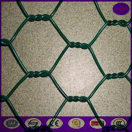 25MM Green PVC caoted Garden Hexagonal Chicken Wire Mesh Fence with 36" x 100'