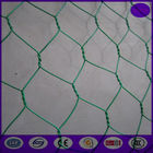 Plastic coating chicken wire mesh / wire netting fence 20 gauge for landscape