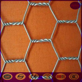 2 Inch woven Chicken Wire Mesh Stainless Steel For Garden / Poultry