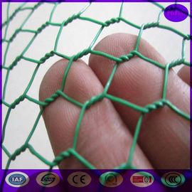 Green Carbon Steel Chicken Wire Mesh Fencing Electric Poultrynetting from China