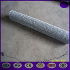 1/2" or 1" mesh hole Durable Chicken Wire Mesh , Hot Dipped Poultry Netting Fence