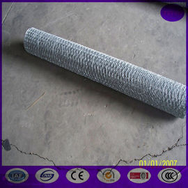 20mm x 20 gauge  Galvanized Poultry Netting Fencing / Chicken Houses Runs