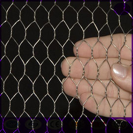 1/2" or 1" mesh hole Durable Chicken Wire Mesh , Hot Dipped Poultry Netting Fence