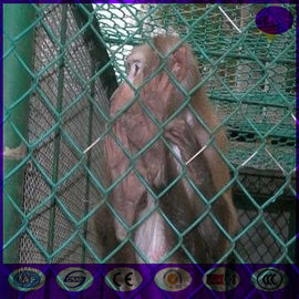 Green Vinyl Coated Chain Link Fence in diamond mesh hole shape for animal zoo