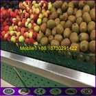 Supermarket Divider Shelf for Fruit and Vegetabes Made in China