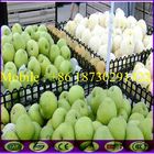 Black ABS Divider for Vegetable and Fruit Display Shelves With Good Price