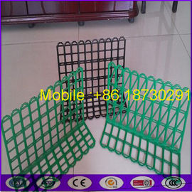 China Green Mild Steel Color Fruit Super Market Fence with Good Price