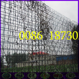 3D EPS Mesh Wall Panel