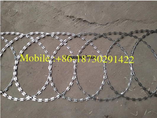 Concertina Razor Barbed Wire 450mm Coil Diameter flat wrap for fence top