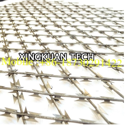 Galvanized Welded Razor Barbed Wire Mesh for Security Protection