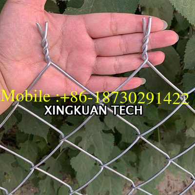 6 ft High Galvanized Wire Mesh Rolls for Fence 30mm 50mm 60mm Aperture