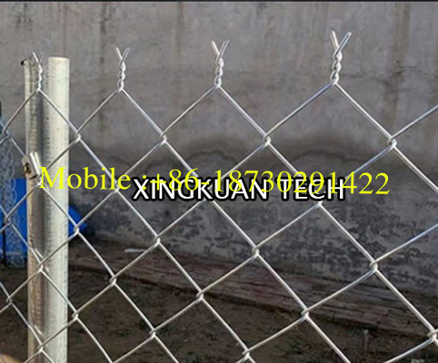 2" 4" Diamond Mesh Wire , galvanized steel mesh fence 6m Width