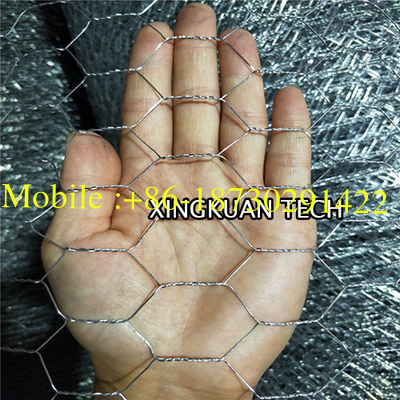 Hot Dipped Chicken Wire Mesh Galvanized , Poultry Wire Netting 2.5m Width