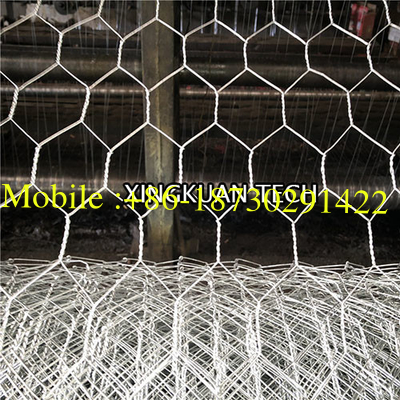 Hot Dipped Chicken Wire Mesh Galvanized , Poultry Wire Netting 2.5m Width