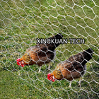 Hexagonal HDG Chicken Wire Mesh For Poultry Netting 10m 20m Length