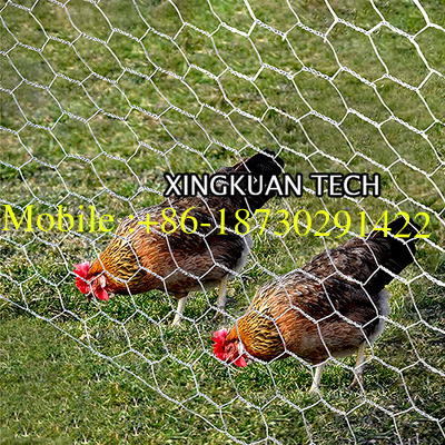 Hexagonal HDG Chicken Wire Mesh For Poultry Netting 10m 20m Length