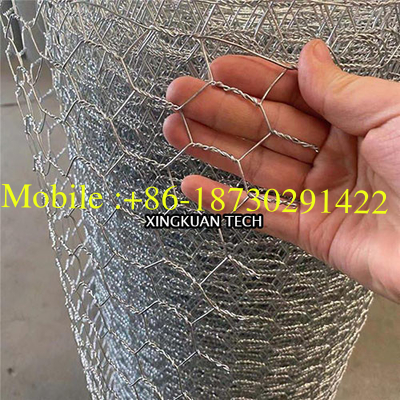 50mm 2'' Bird Cage Wire Mesh , Hot Dipped Galvanized Chicken Wire