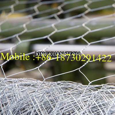 50mm 2'' Bird Cage Wire Mesh , Hot Dipped Galvanized Chicken Wire