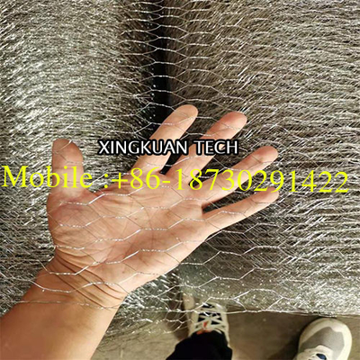 50mm 2'' Bird Cage Wire Mesh , Hot Dipped Galvanized Chicken Wire