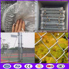 Hot - Dipped Galvanized Iron Wire Chain Link Fences For Dogs 2' / 11.5GA