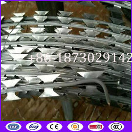 BTO-22 3 Meter Long Stainless Steel 304 Straight Cut Razor Barbed Wire with Elecricity Wire