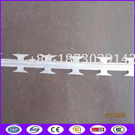 BTO-22 3 Meter Long Stainless Steel 304 Straight Cut Razor Barbed Wire with Elecricity Wire