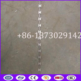 Straight Concertina Razor Barbed Wire from China Supplier