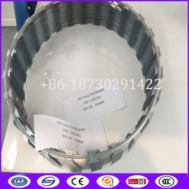 450mm, 600mm, 900mm, 960mm, 980mm Coil Diameter Fencing Concertina Wire Roll