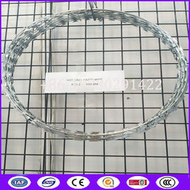 450mm, 600mm, 900mm, 960mm, 980mm Coil Diameter Fencing Concertina Wire Roll